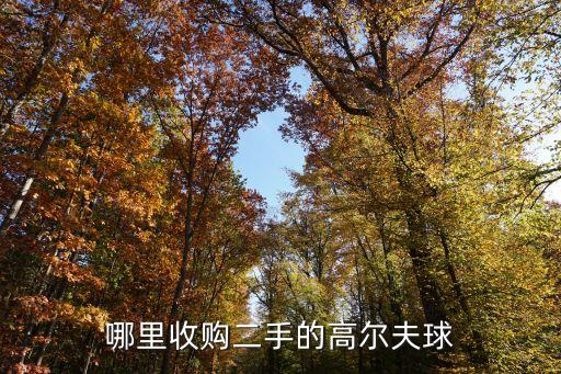哪里收购二手的高尔夫球