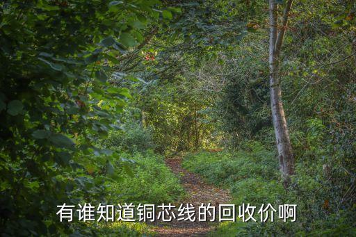 有谁知道铜芯线的回收价啊