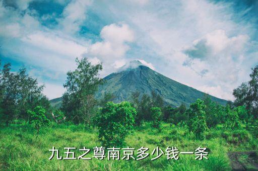 九五之尊南京多少钱一条