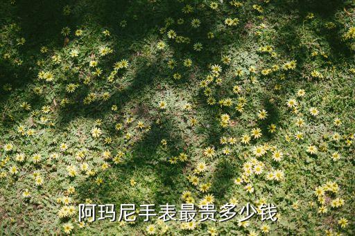 阿玛尼手表能卖多少钱，emporio armani手表的价格大概在什么范围