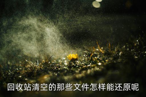 清空回收站的文件怎么找回，回收站清空之后文件怎么恢复