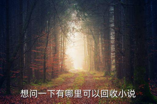 想问一下有哪里可以回收小说