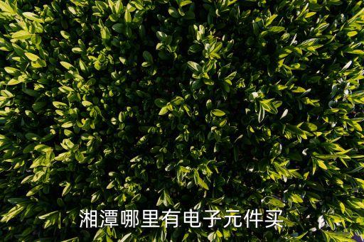 湘潭哪里有电子元件买