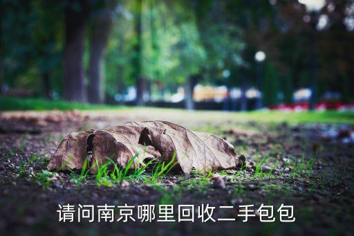 南京包包哪里回收，南京那边回收二手包包 我有几个奢侈品调剂LV包和香奈儿的女朋