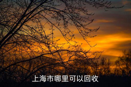 上海市哪里可以回收