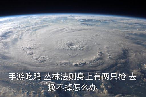 吃鸡怎么回收迫击炮枪，手游吃鸡 丛林法则身上有两只枪 去换不掉怎么办