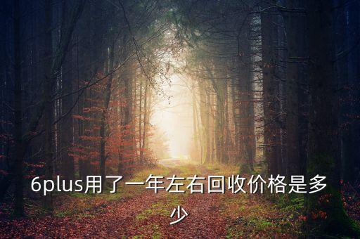 元plus动能回收多少，苹果6splus回收多少钱