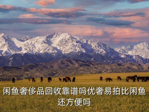 闲鱼奢侈品回收靠谱吗优奢易拍比闲鱼还方便吗
