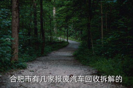 合肥市有几家报废汽车回收拆解的