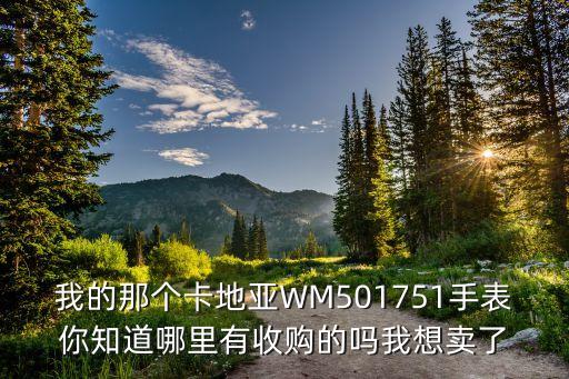 我的那个卡地亚WM501751手表你知道哪里有收购的吗我想卖了