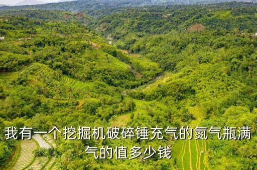 我有一个挖掘机破碎锤充气的氮气瓶满气的值多少钱