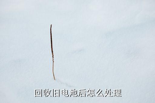 回收旧电池后怎么处理