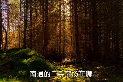南通的二手市场在哪