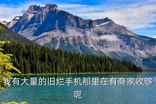 我有大量的旧烂手机那里在有商家收够呢
