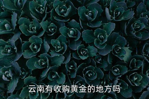 云南有收购黄金的地方吗