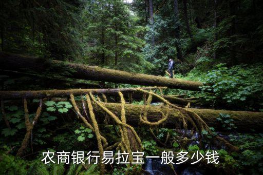农商银行易拉宝一般多少钱