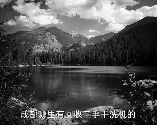 成都哪里有回收二手干洗机的