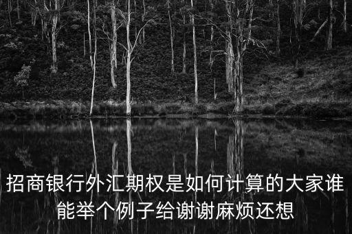 招商银行外汇期权是如何计算的大家谁能举个例子给谢谢麻烦还想