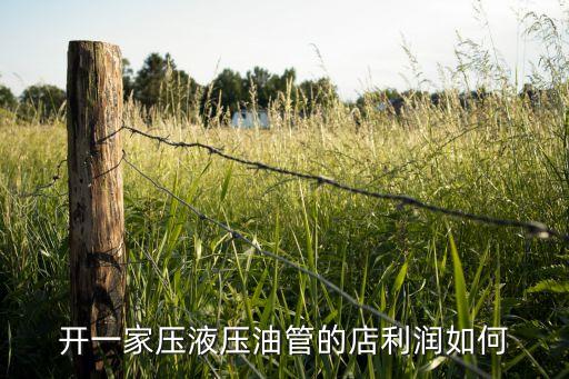 开一家压液压油管的店利润如何
