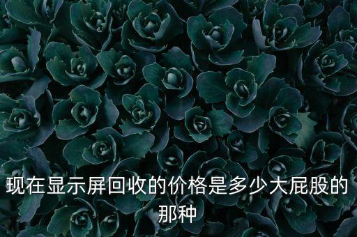 现在显示屏回收的价格是多少大屁股的那种