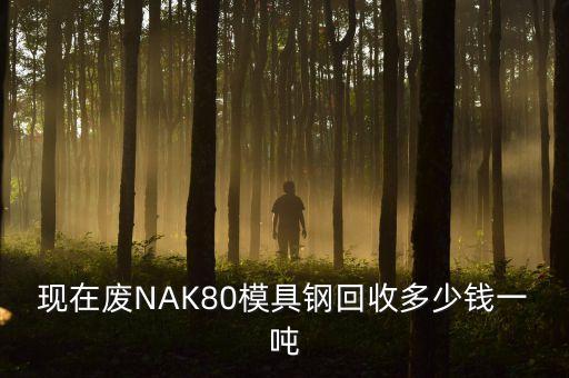 现在废NAK80模具钢回收多少钱一吨