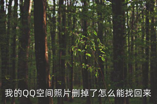 我的QQ空间照片删掉了怎么能找回来