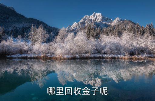 哪里回收金子呢