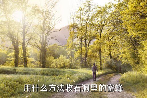 用什么方法收石洞里的蜜蜂