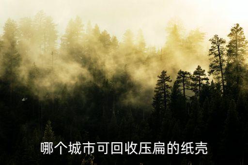 哪个城市可回收压扁的纸壳