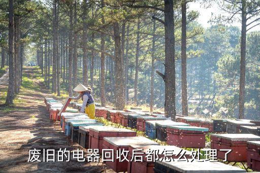废旧的电器回收后都怎么处理了