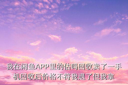 我在闲鱼APP里的估吗回收卖了一手机回收后价格不符我退了但我拿