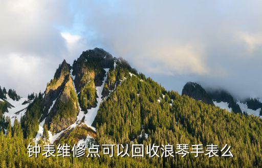 钟表维修点可以回收浪琴手表么