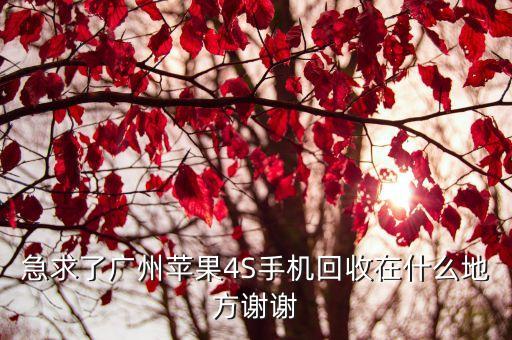 急求了广州苹果4S手机回收在什么地方谢谢