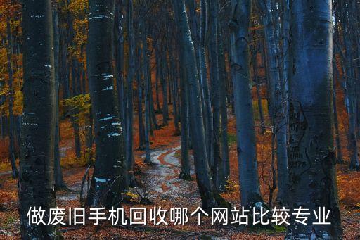 互联网废品回收加盟哪个平台好，布口袋网回购网和爱回收这三个网站相比较那个好点