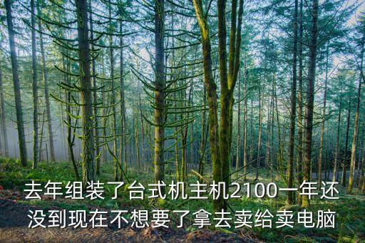 去年组装了台式机主机2100一年还没到现在不想要了拿去卖给卖电脑