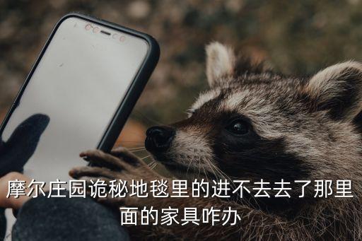 摩尔庄园诡秘地毯里的进不去去了那里面的家具咋办