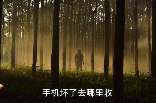 手机坏了去哪里收
