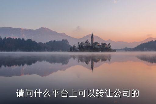 请问什么平台上可以转让公司的