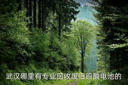武汉哪里有专业回收废旧铅酸电池的