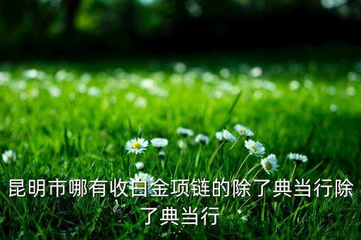 昆明市哪有收白金项链的除了典当行除了典当行