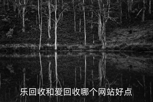 乐回收和爱回收哪个网站好点