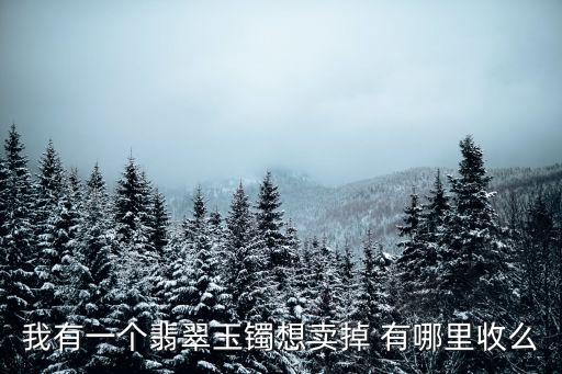 我有一个翡翠玉镯想卖掉 有哪里收么