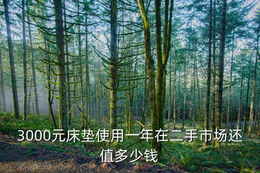 3000元床垫使用一年在二手市场还值多少钱