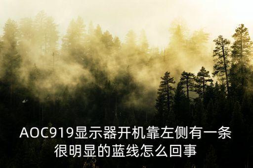 AOC919显示器开机靠左侧有一条很明显的蓝线怎么回事