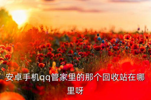 安卓手机qq管家里的那个回收站在哪里呀
