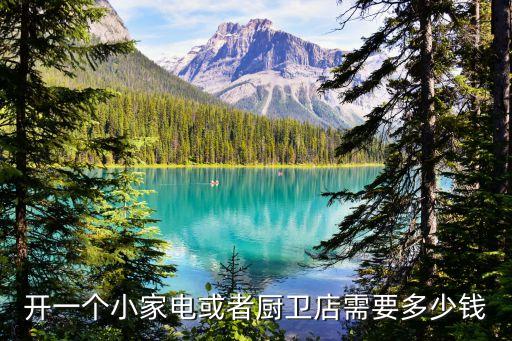 开一个小家电或者厨卫店需要多少钱
