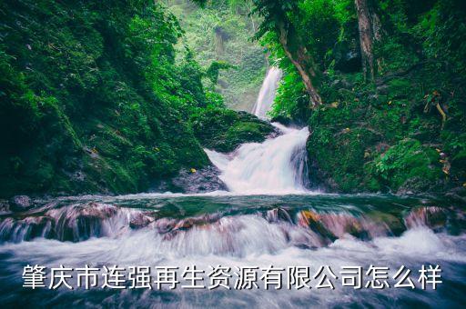 肇庆市连强再生资源有限公司怎么样