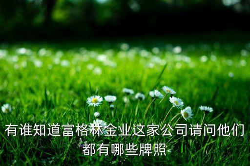 有谁知道富格林金业这家公司请问他们都有哪些牌照