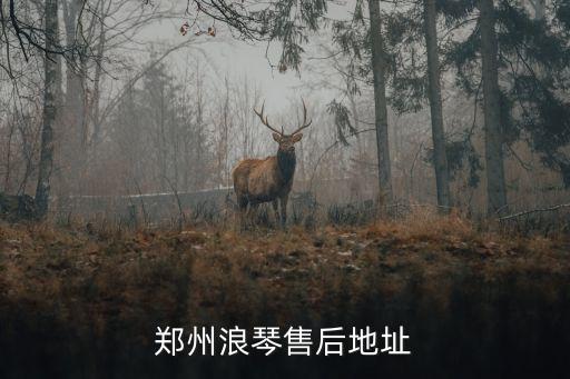 郑州浪琴售后地址