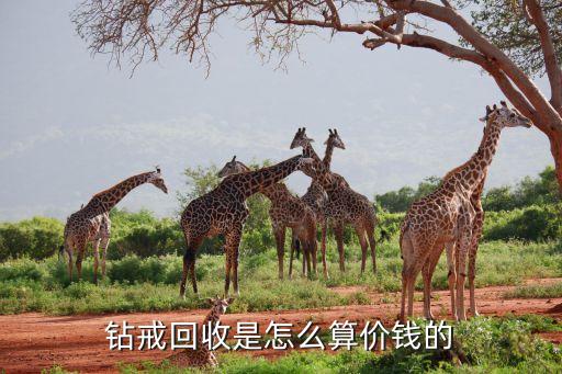钻石典当行怎么回收价格，一般钻石回收价格的计算方式是怎么样的